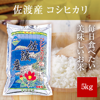 佐渡産コシヒカリ5kg 令和7年産
