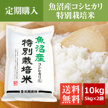 【定期購入】 魚沼産コシヒカリ 特別栽培米 10kg（5kg×2袋）
