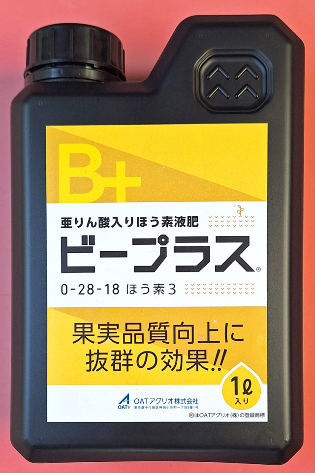 （BRO.様購入）アスクレピオス製薬株式会社 | B.B.B（トリプルビー） Brooks Brothers ブルックス ブラザーズ パジャマ 無撚糸トリプル