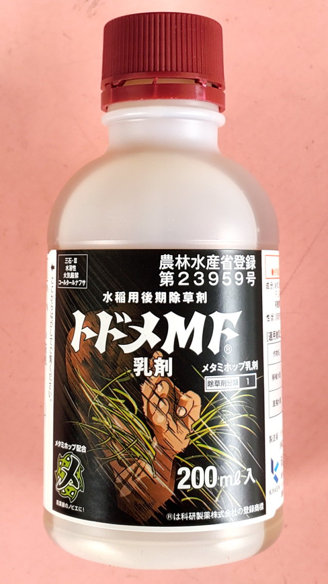梅　農薬不使用　かめきちどん　１０キロ箱込み 自然栽培梅10キロ箱込み 農薬不使用 青梅