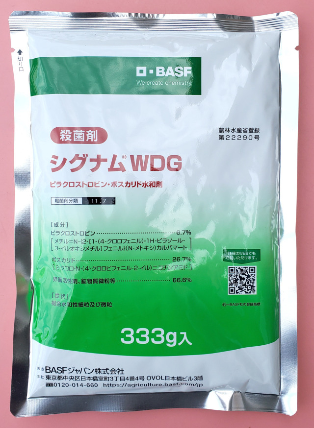 WGの胞子 【公式通販】 WGの胞子 【公式通販】