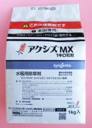 1 メル　限定価格 岡山県産 農薬除草剤不使用 小梅 10k 採れたて発送 梅 1Kg 農薬不使用 - メルカリ
