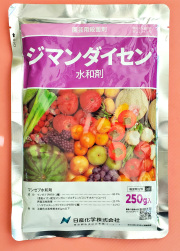 【たみん】藤稔の粒　箱込1kg弱 otentosun_4571108450272