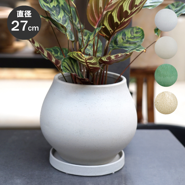 コウムとミラビレ　2鉢セット 宮島將實 / mm2_ta05_xs / 約 φ8.7cm / 植木鉢 – ハチラボ