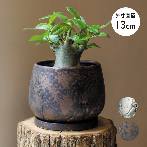 【インテリア鉢/陶器鉢/BOEX】グリント Φ13cm（HO-4813）