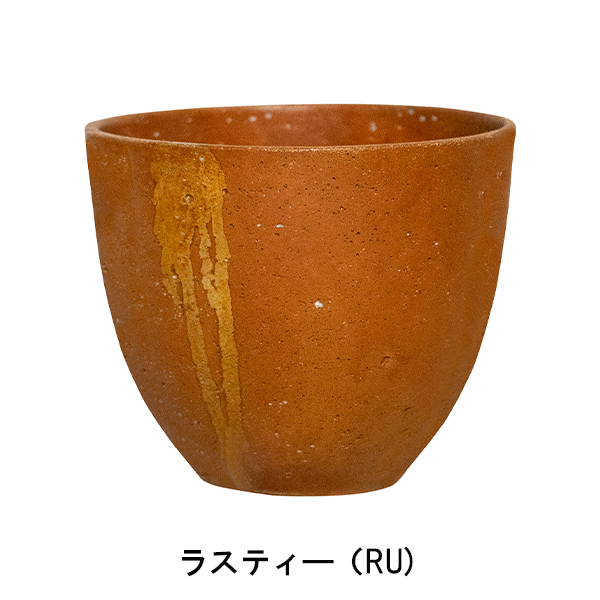 AGINGround_RU