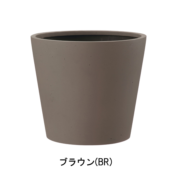 ポリッシュ