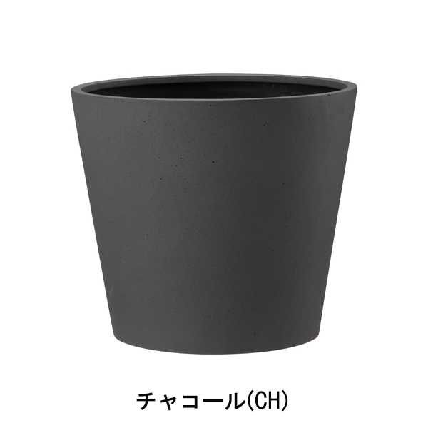 ポリッシュ