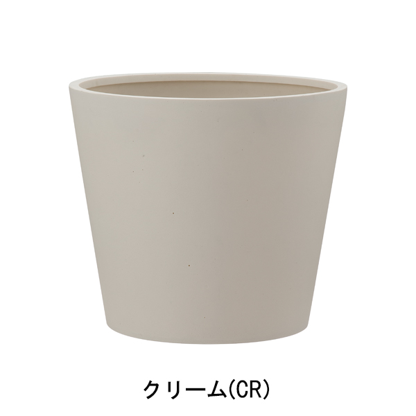 ポリッシュ