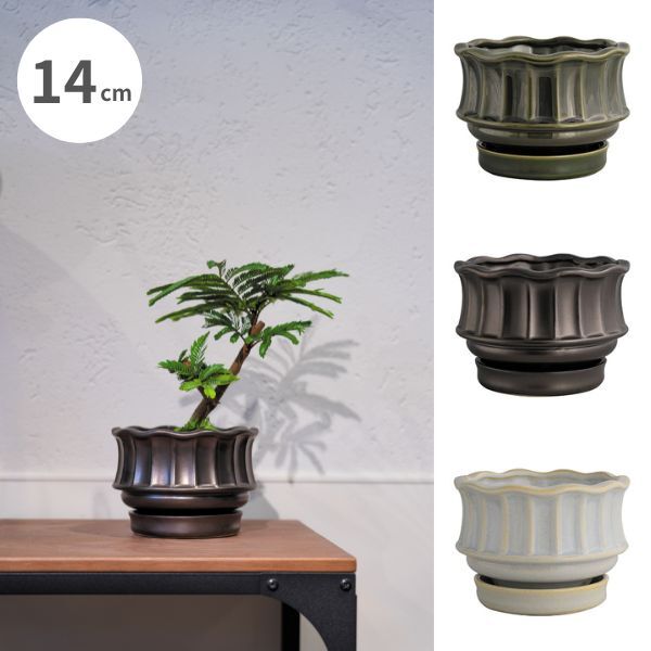 【インテリア鉢/陶器鉢/BOEX】ティエラ ワイド  Φ14cm（CP-4314）