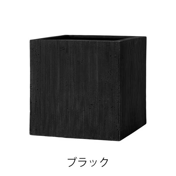 エンバス