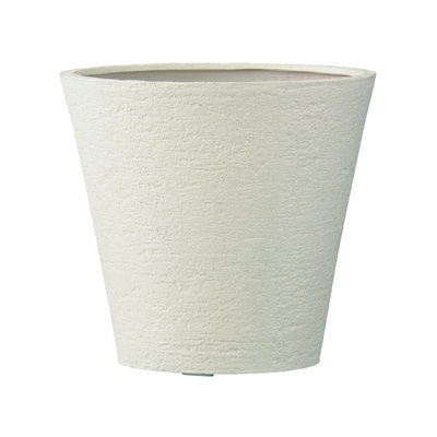 ビアスソリッド