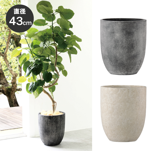 フォリオアルトエッグ