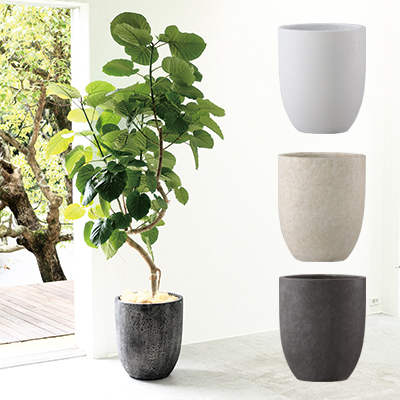 10号 12号 植木鉢 ポット 鉢カバー 樹脂製鉢 プランター