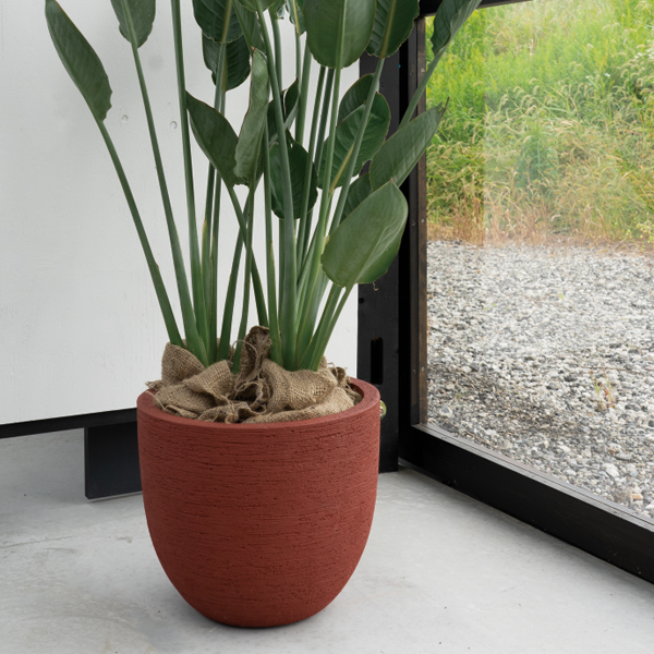 新品 植木鉢 6個セット　6万円相当 陶器植木鉢6点セット（受皿付）花柄B | シャディギフトモール