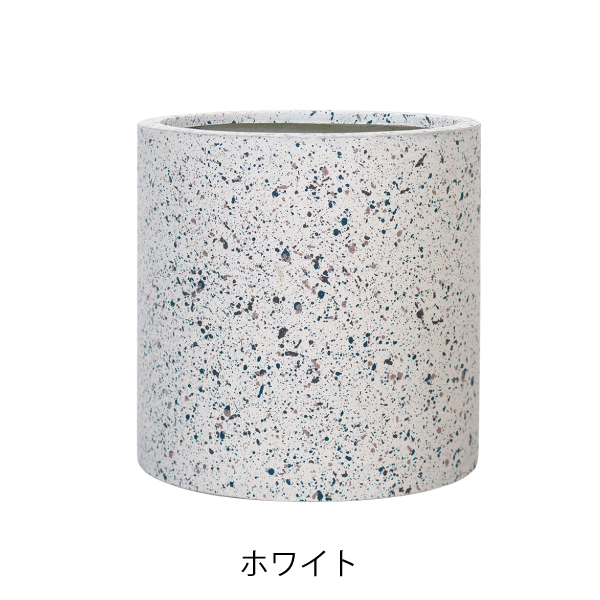 ゾアシリンダー