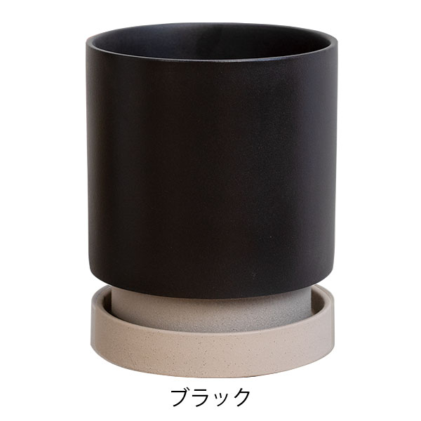 パラドック