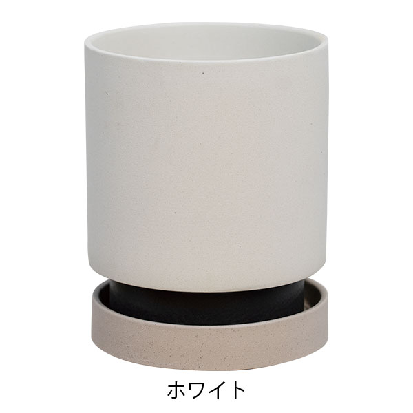 パラドック