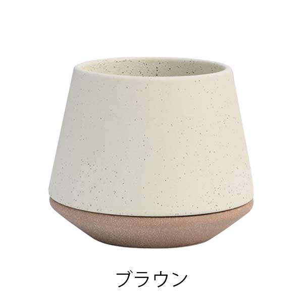 サンディ