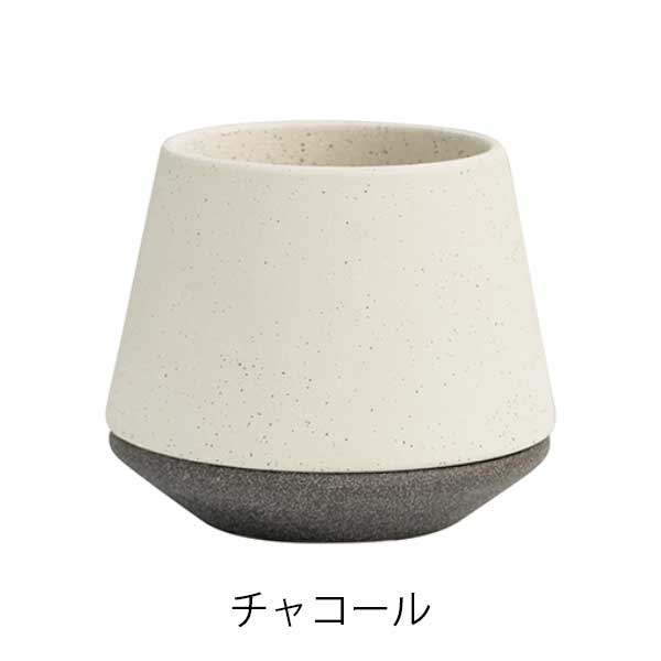 サンディ