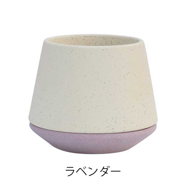 サンディ