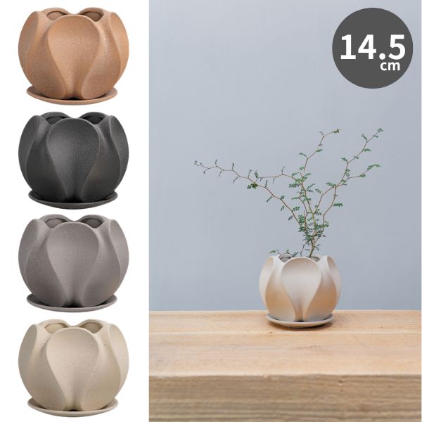 インテリア鉢/陶器鉢/BOEX】マッシュ Φ16cm（CP-3216)