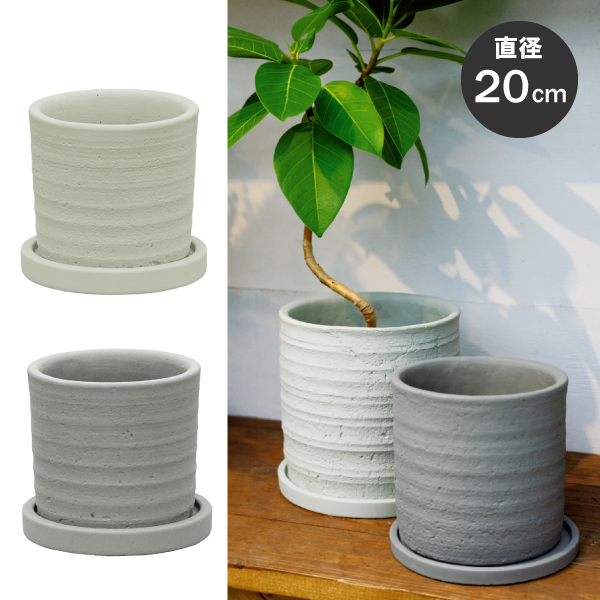 【専用、鉢のみ】 GEES コンクリート製鉢