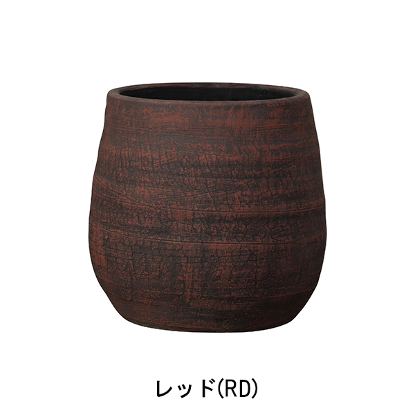ジャヤ