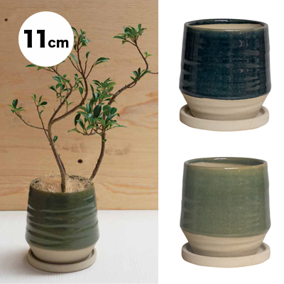 インテリア鉢 陶器鉢 Boex テビー F11cm Ho インテリア鉢 陶器鉢 Boex テビー F11cm Ho