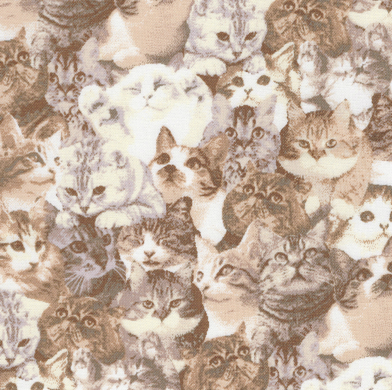 FUWARI・染布 シリーズ 1mカット済み商品 オックス プリント モノトーン キャット生地 布 ねこ 猫 猫柄 ネコ柄 オックス生地 オックスフォード 男の子 女の子 かわいい 動物 コットン