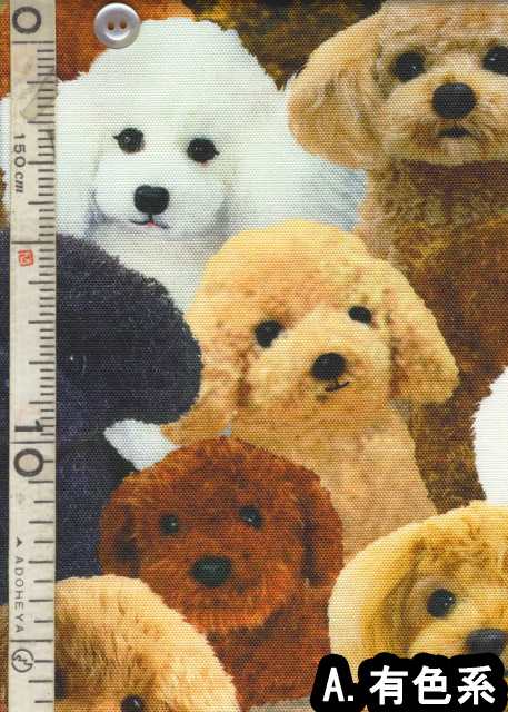 50cm単位切り売り デジタル プリント オックス生地 布人オリジナル