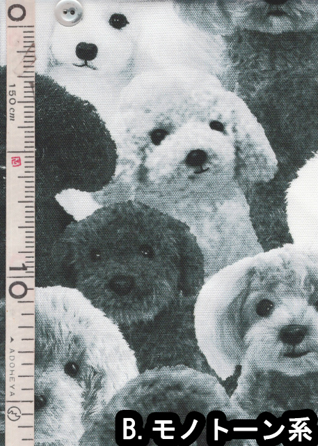 50cm単位切り売り デジタル プリント オックス生地 布人オリジナル