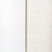 1m単位切り売り 110cm幅 綿100% 200本 ブロード 2色あります 生地 布 布地 生成り 生成 白 白布 ホワイト コットン 無地 綿ブロード無地カラー セール 布生地 コットン の 布地 おしゃれ 綿