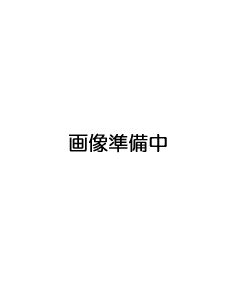 画像準備中