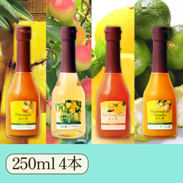 夏のおすすめビネガーセット 250ml 4本入り