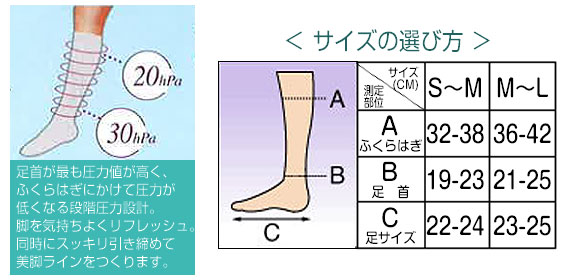 サイズの選び方