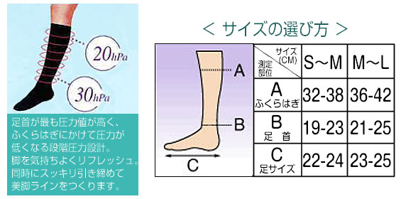 サイズの選び方
