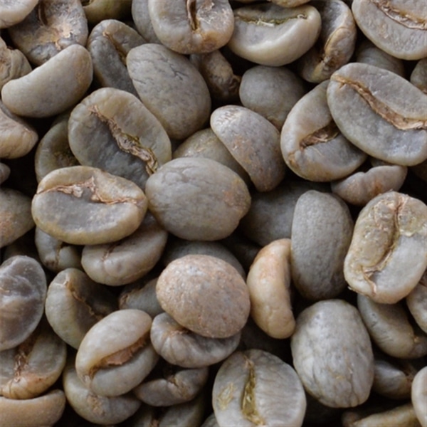 グァテマラ 生豆