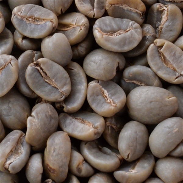 トラジャ高原カロシ地区 生豆