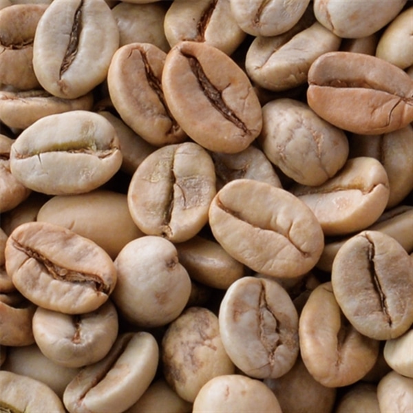 インドモンスーン 生豆