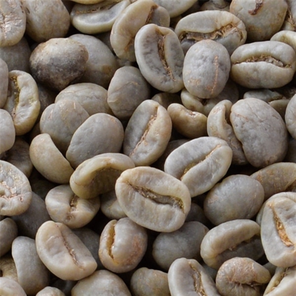 コスタリカ 生豆 「きれいなコーヒー」の通販 | オアシス珈琲