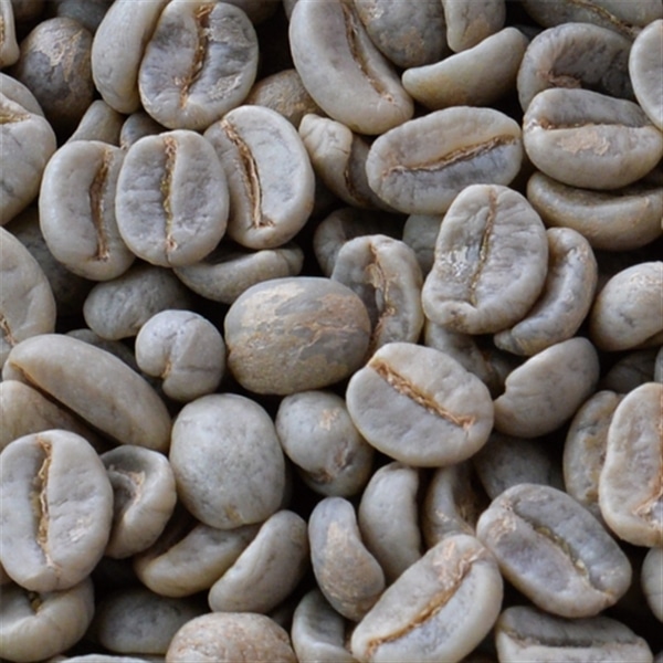 【有機】グァテマラ 生豆