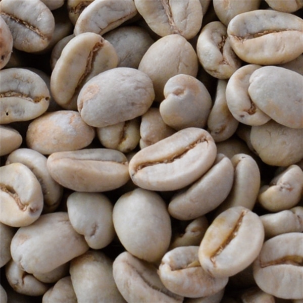 【有機】ペルー 生豆