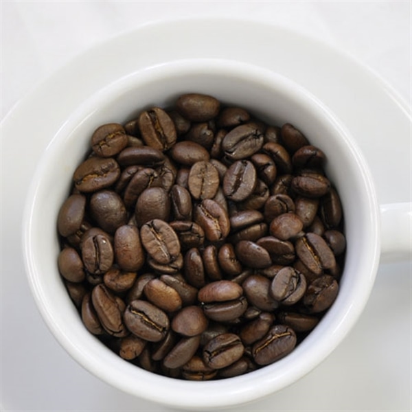 スペシャルブレンド