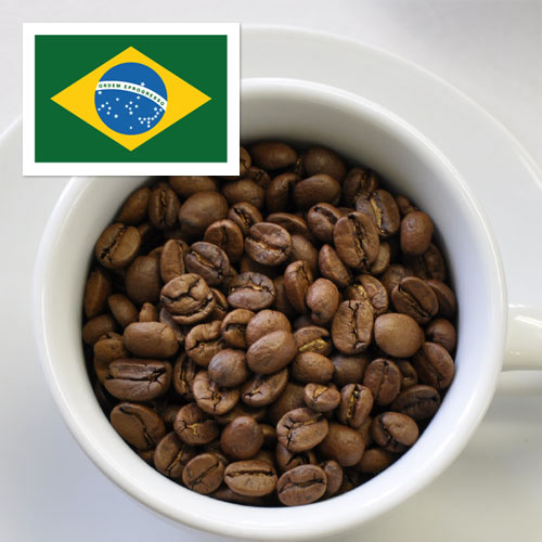 ブラジル樹上完熟