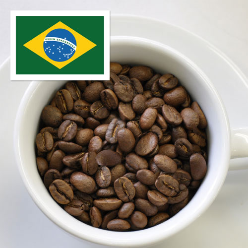 ブラジルブルボン