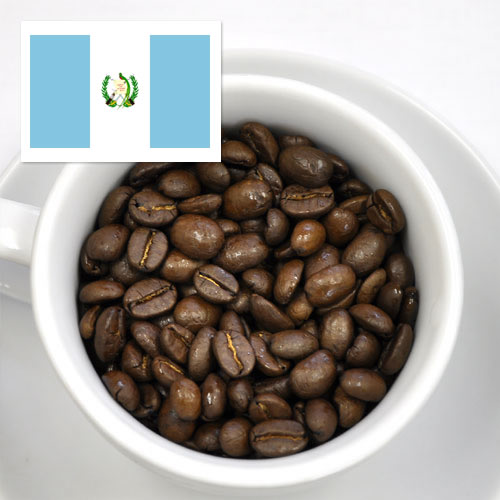 【有機】グァテマラ