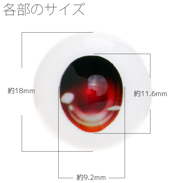 【EYOB-F18】尾櫃瞳(オビツアイ) Fタイプ 18mm