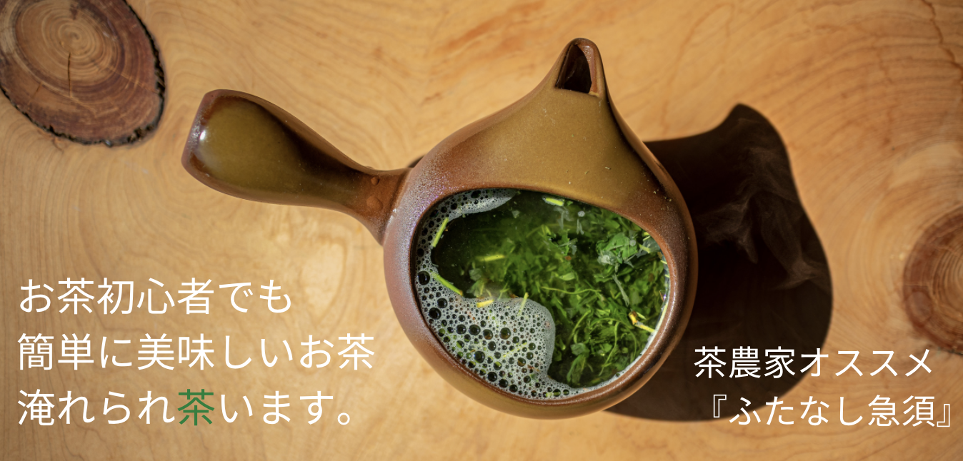 お茶の初心者にぴったりな『ふたなし急須』灰釉（茶）