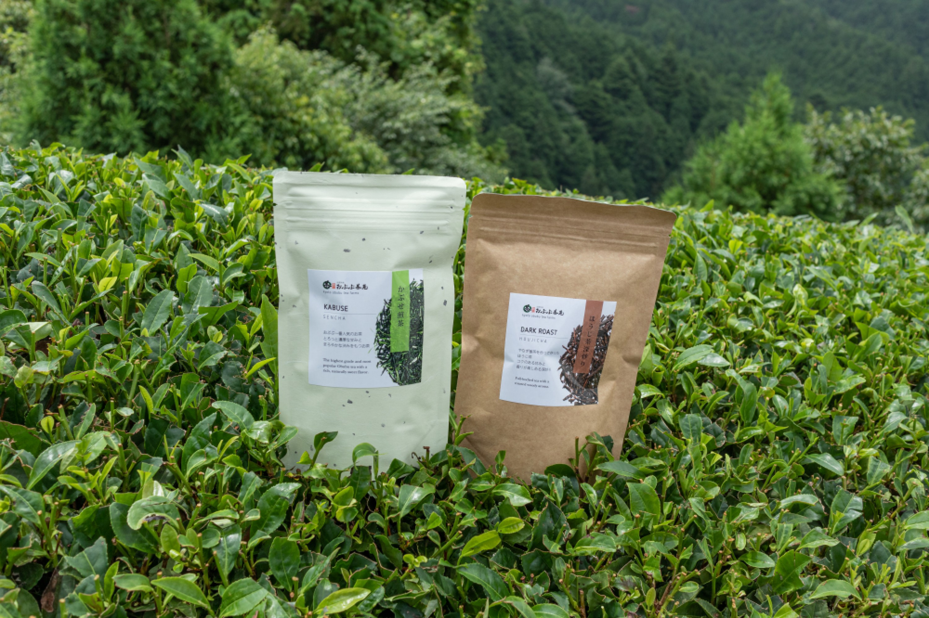 ギフトにぴったり　和束茶二種【香り】※送料無料